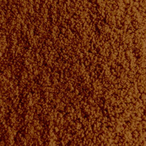 Teddy bouclette toffee