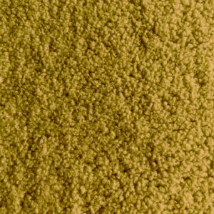 Teddy bouclette ocre
