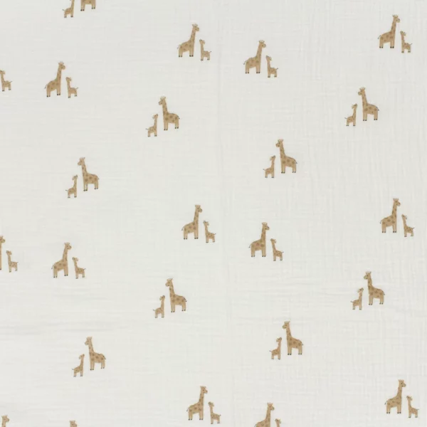 Double gaze girafes