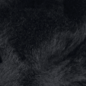 Fourrure noir