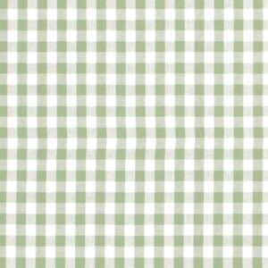 Tissu vichy moyen vert
