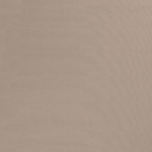 Canva beige