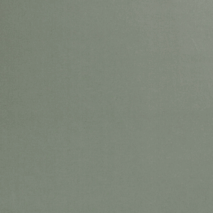 Canva menthe