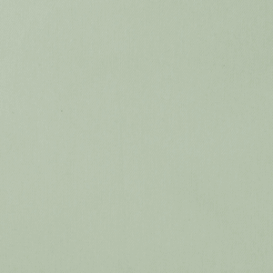 Jeans menthe